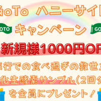 １１月はハニーサイドキャンペーン！生酵素プレゼント(2本分)